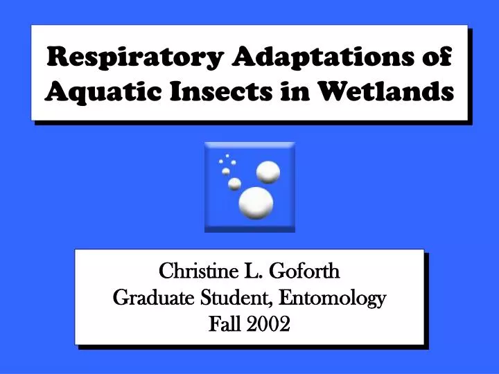respiratory adaptations of aquatic insects in wetlands n.