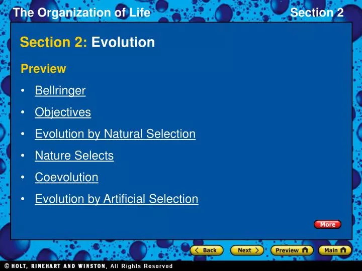 section 2 evolution n.