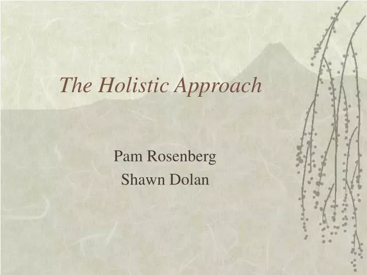 the holistic approach n.