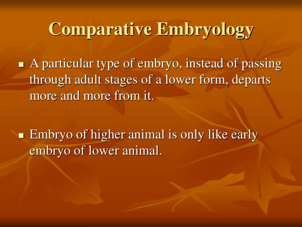 PPT - Developmental Biology PowerPoint Presentation, free download - ID