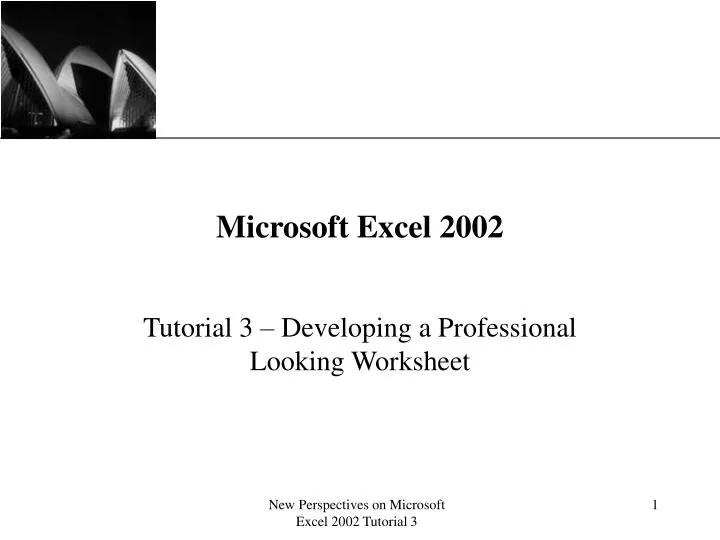 microsoft excel 2002 n.
