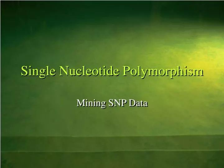 single nucleotide polymorphism n.