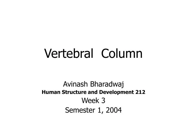 vertebral column n.