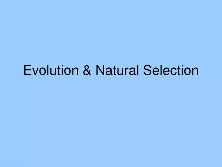 evolution natural selection n.