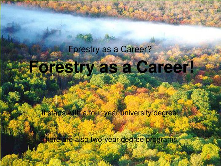 forestry as a career n.