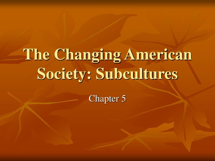 the changing american society subcultures n.