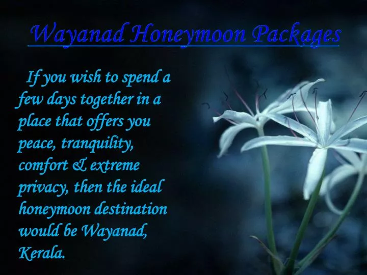 wayanad honeymoon packages n.