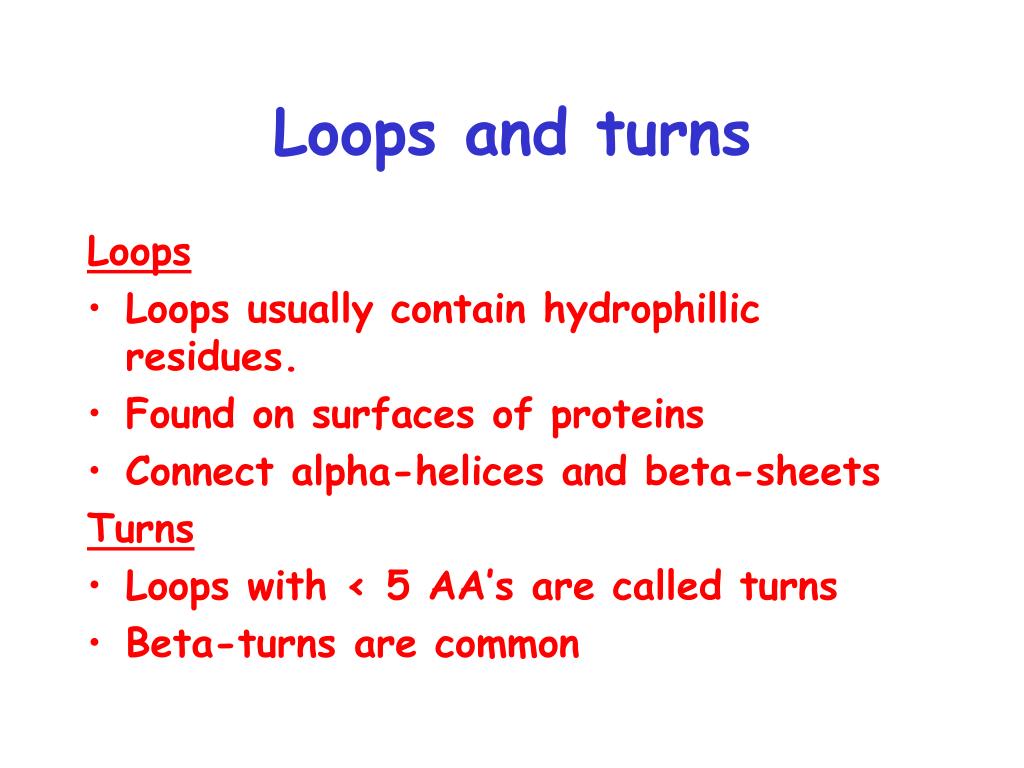 beta turns and loops