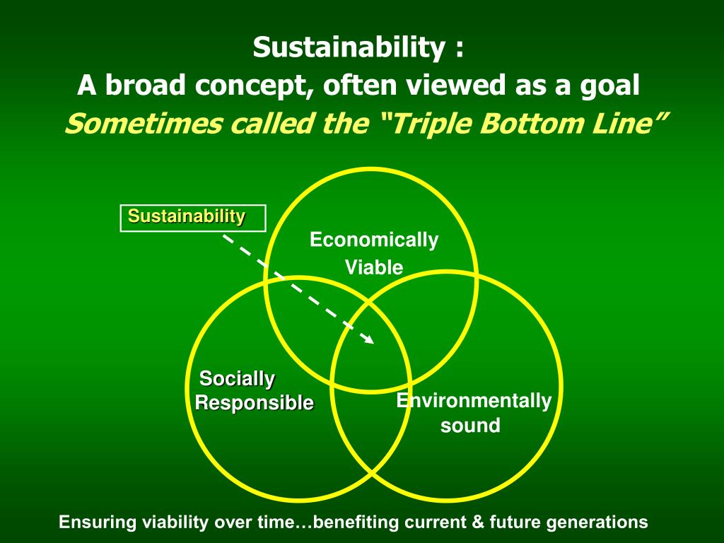 Current future. Triple bottom line концепция. Sustainability. Sustainability ppt. Sustainability Scale ppt.