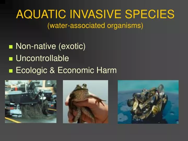 aquatic invasive species water associated organisms n.