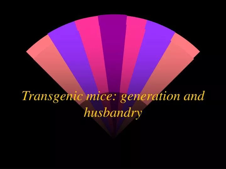 transgenic mice generation and husbandry n.