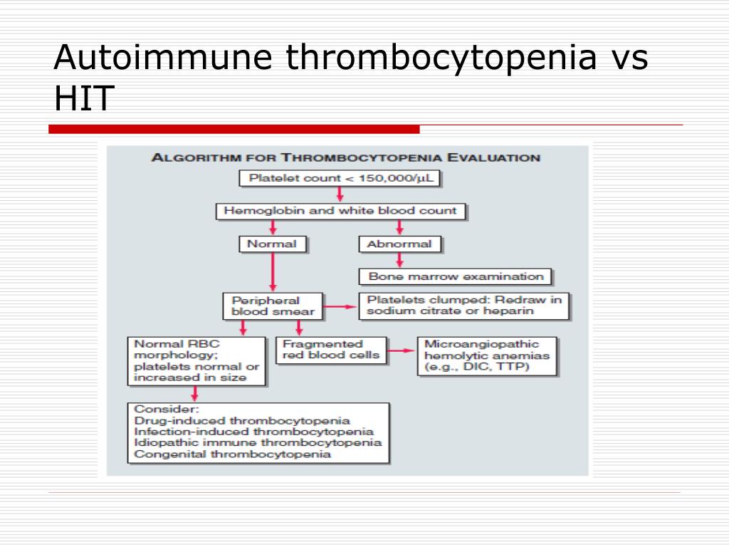 Тромбоцитопения мкб. Thrombocytopenia терминоэлементы. Тромбоцитопения и армия. 3 тромбоцитопения
