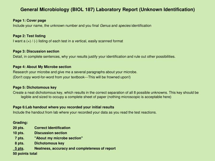 enterobacter aerogenes unknown lab report