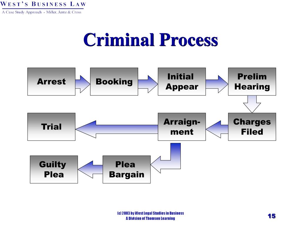Criminal Trial Process Flow Chart