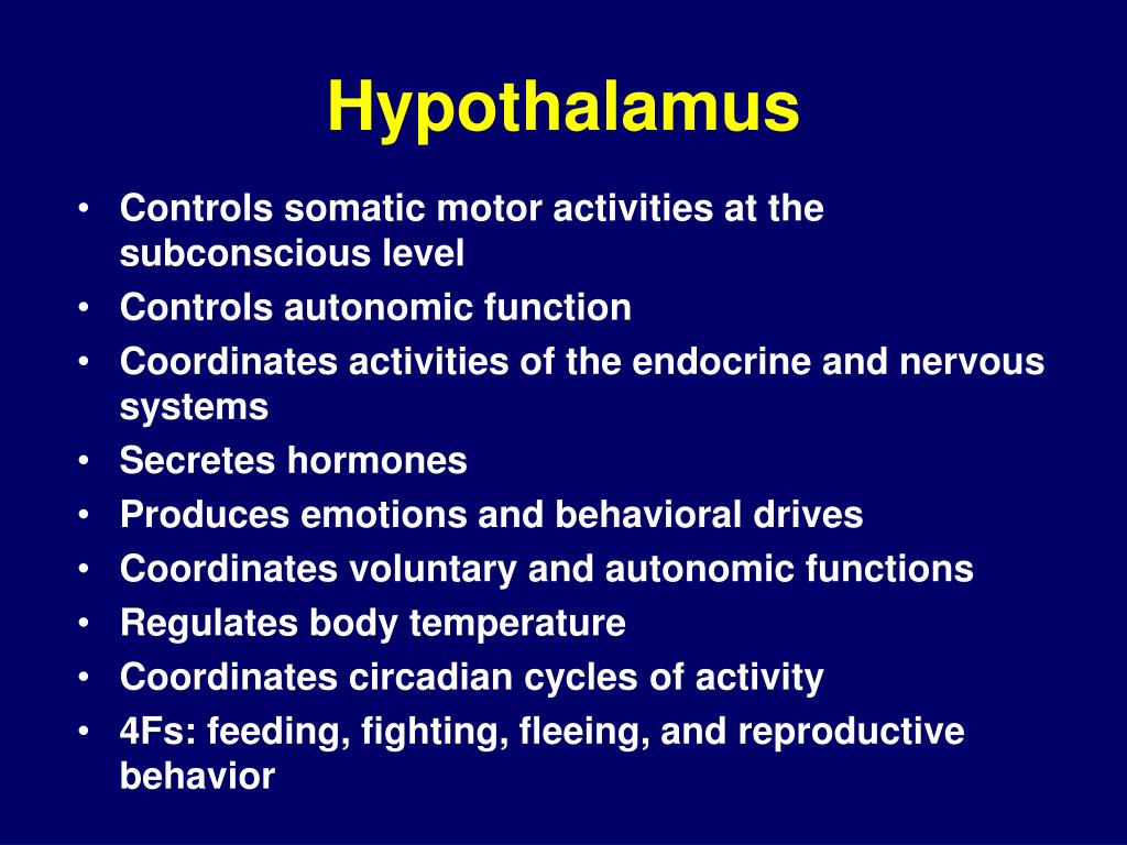 PPT - Neurophysiology PowerPoint Presentation, free download - ID:168209