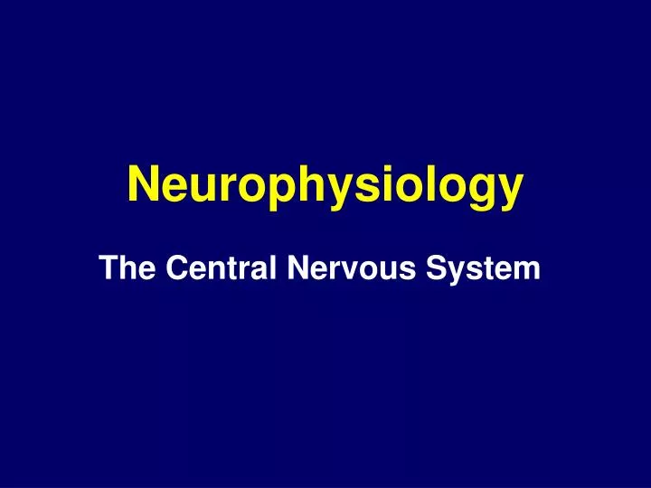 neurophysiology n.