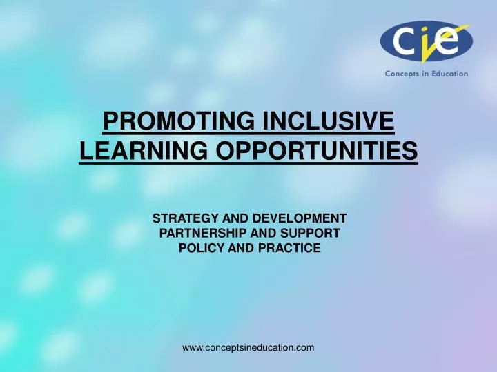 promoting inclusive learning opportunities n.