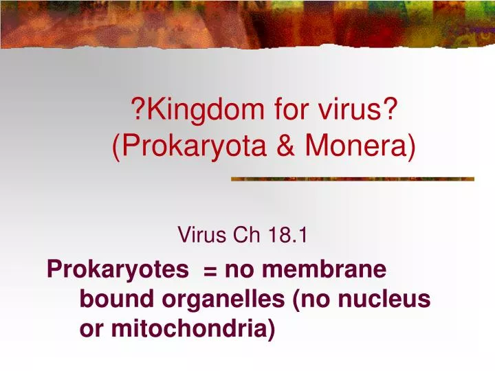 kingdom for virus prokaryota monera n.