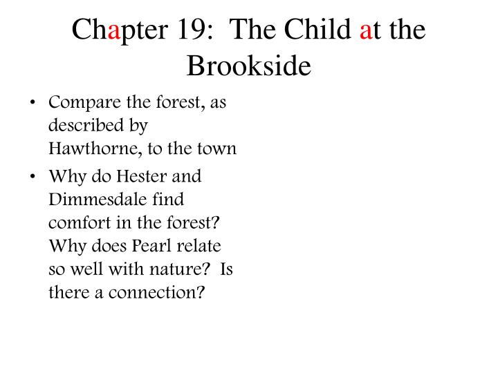 contrast between hester and dimmesdale The distinguishing between hester and dimmesdale in nathaniel hester and dimmesdale can be compared and contrast in the way they handled their scarlet letter. contrast between hester and dimmesdale The distinguishing between hester and dimmesdale in nathaniel hester and dimmesdale can be compared and contrast in the way they handled their scarlet letter.