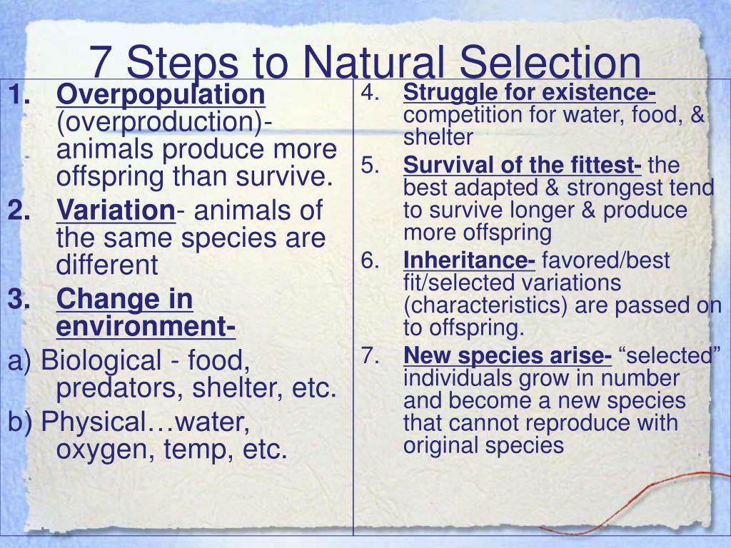 7 Steps To Natural Selection L 