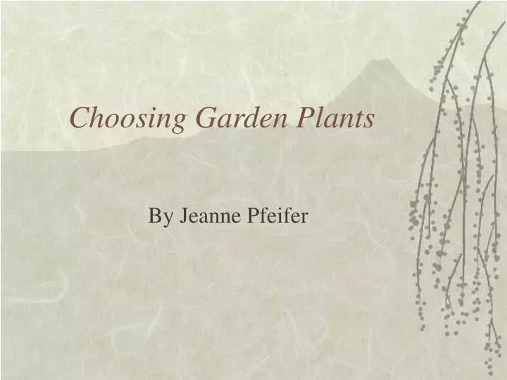 choosing garden plants n.