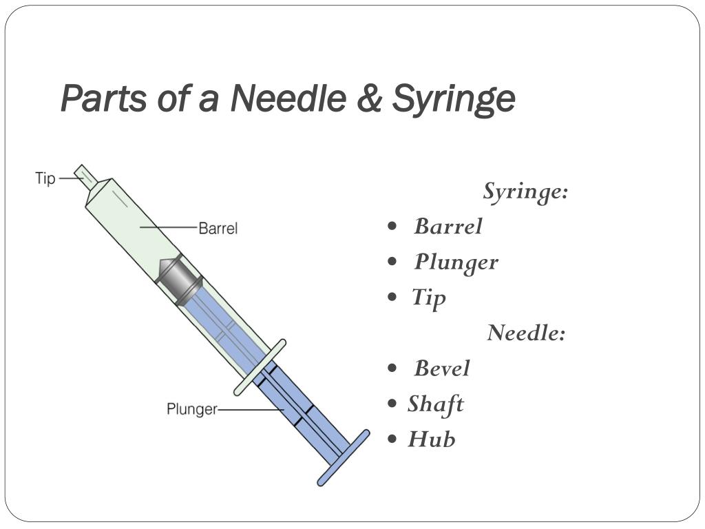 Parts Of A Needle And Syringe