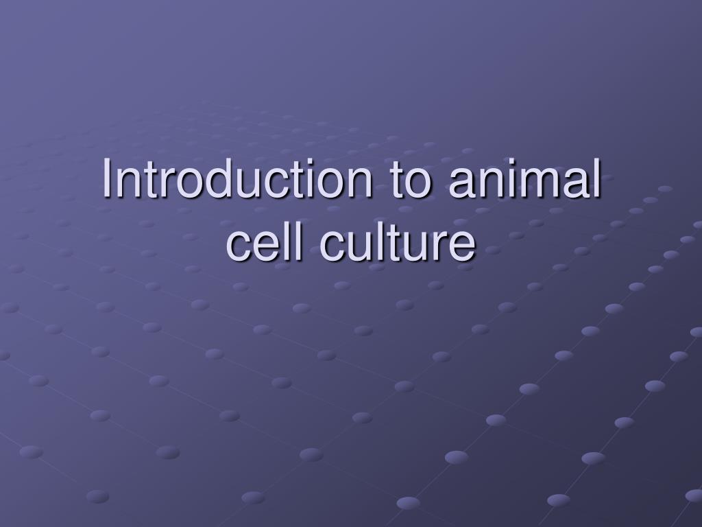 PPT - Introduction to animal cell culture PowerPoint Presentation, free  download - ID:171656