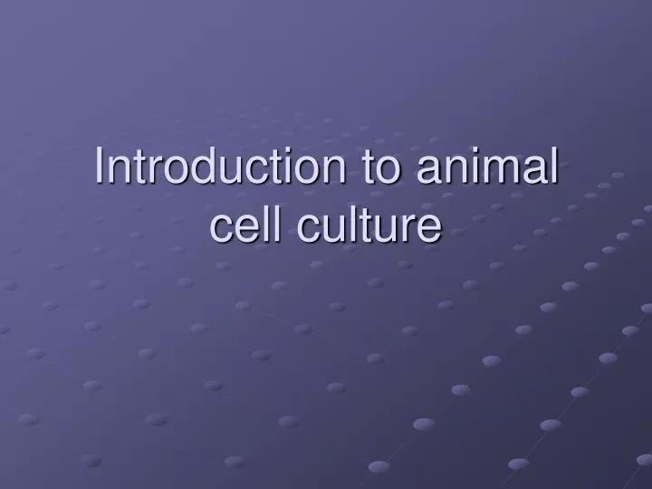 introduction to animal cell culture n.