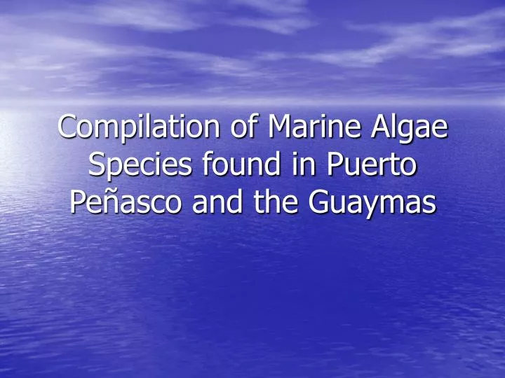 compilation of marine algae species found in puerto pe asco and the guaymas n.