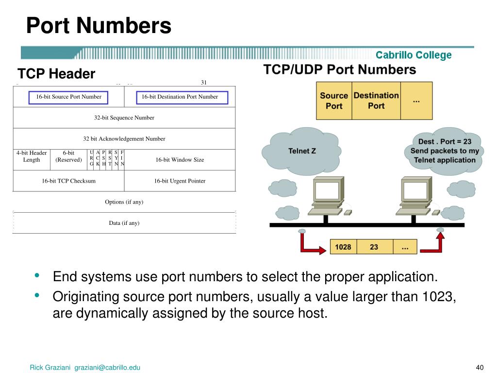 Source host. TCP протокол структура. Структура TCP пакета. Заголовок протокола TCP. Строение протокола TCP.