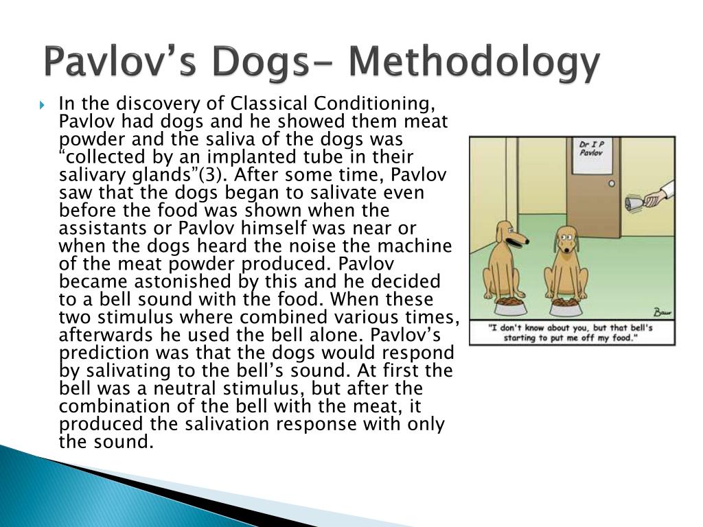 ivan pavlov theory ivan pavlov theory