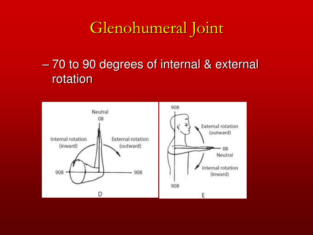 PPT - Chapter 5 The Shoulder Joint PowerPoint Presentation, free
