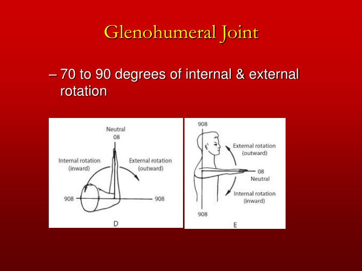 PPT - Chapter 5 The Shoulder Joint PowerPoint Presentation - ID:172726