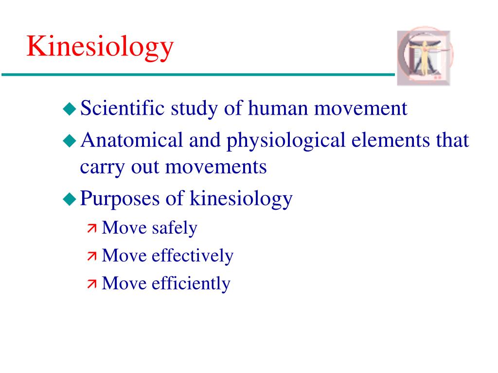 Chapter 6 Biomechanical Foundations of Physical Education and Biology Diagrams