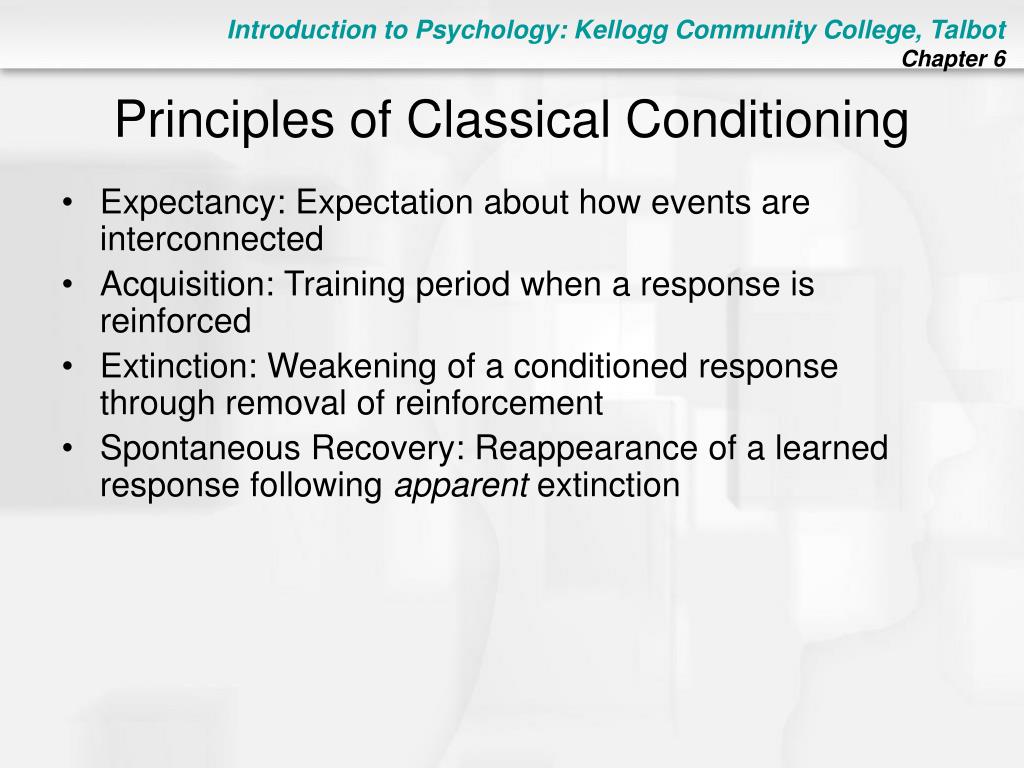 Classical Conditioning Principles
