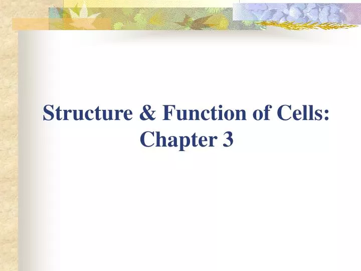 structure function of cells chapter 3 n.