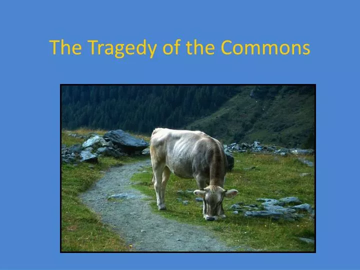 the tragedy of the commons n.