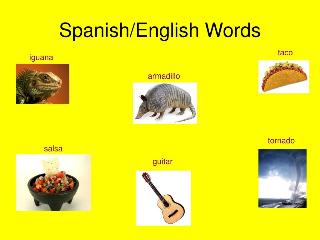 Spain words. Spanish Words. Spanish Words in English. Spain Word. Spanish English Vocabulary.