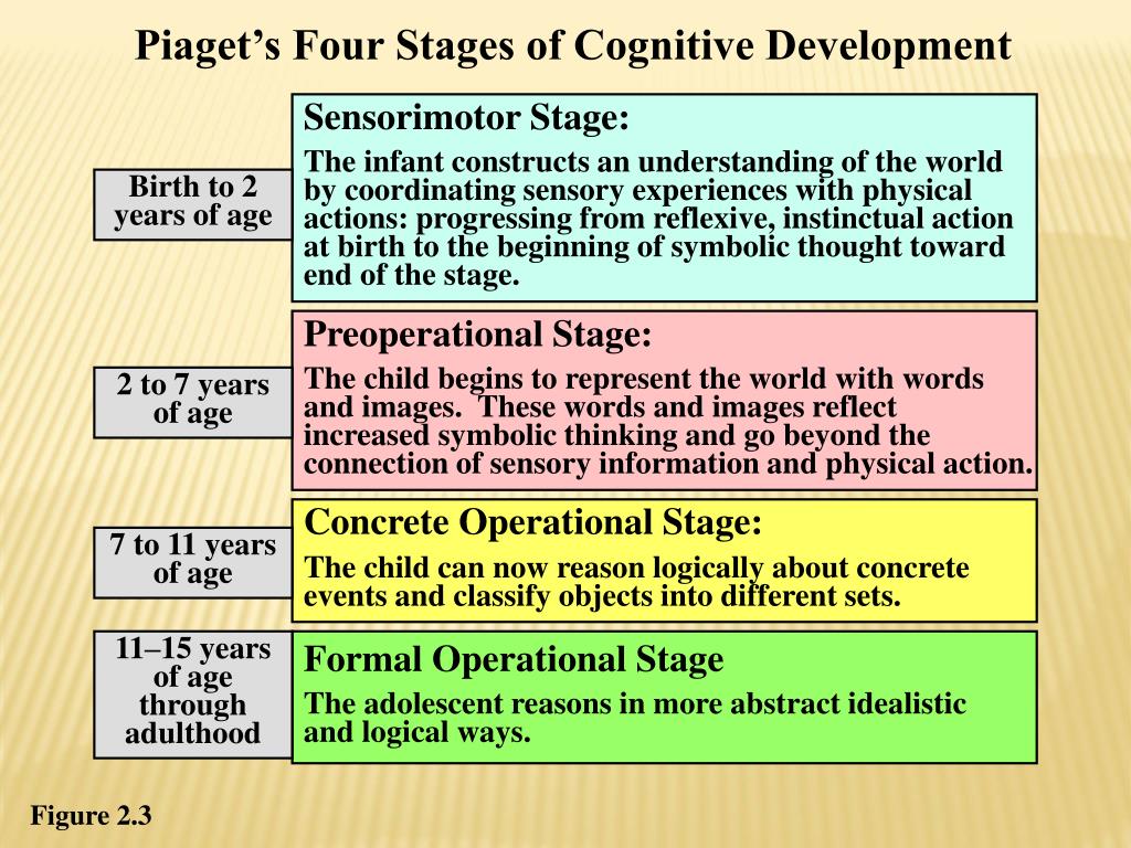 Cognitive Development Stages By Age