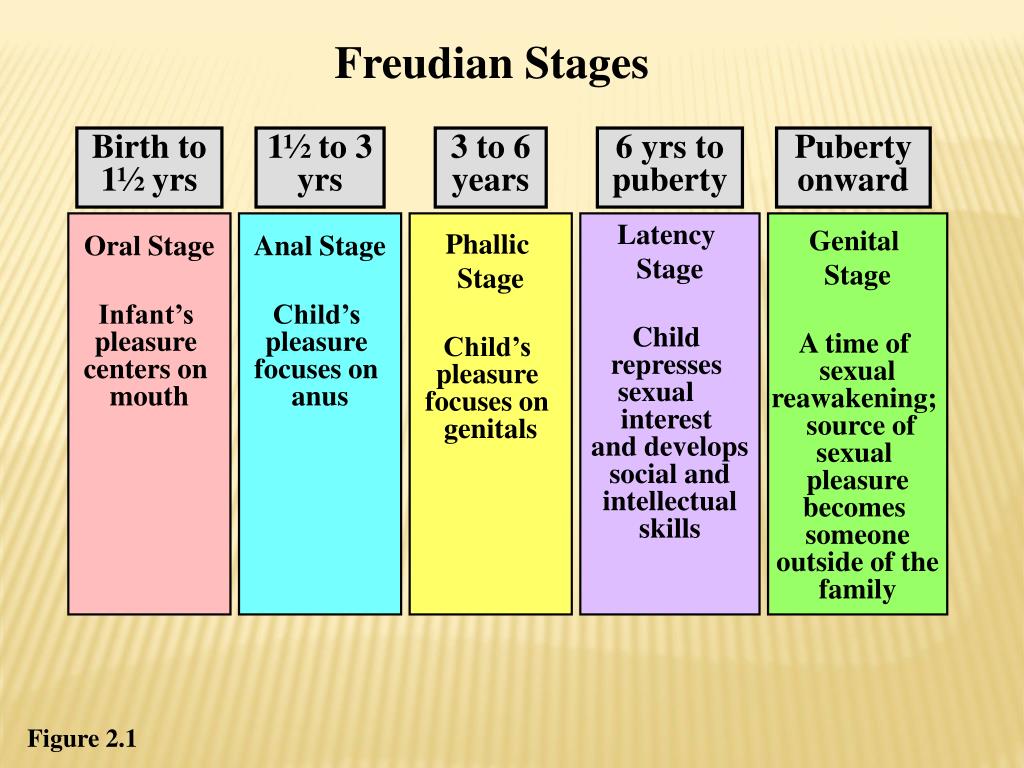 Fases Do Desenvolvimento Infantil Freud - SOLOLEARN