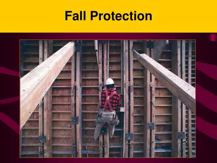 fall protection n.