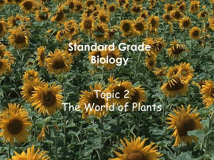topic 2 the world of plants n.