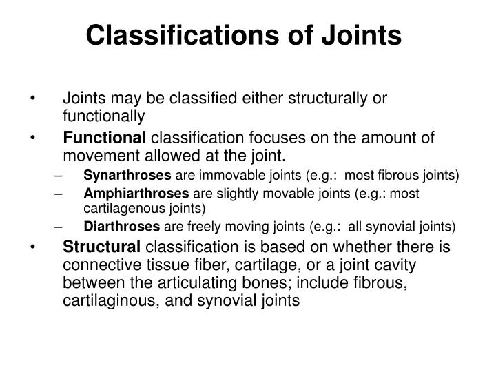 Ppt Joints Bone Connections Powerpoint Presentation Id176707 6278