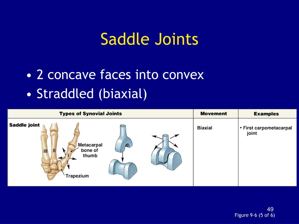 PPT Chapter 9 Articulations PowerPoint Presentation, free download