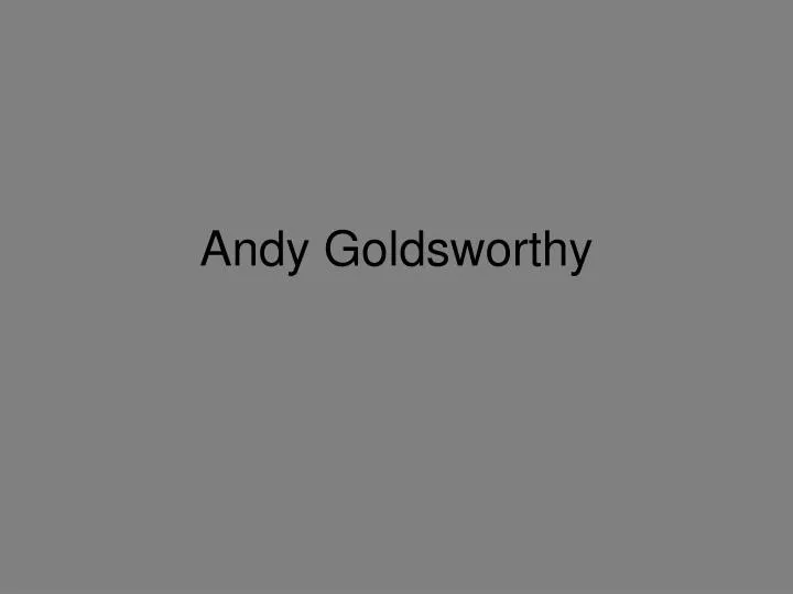 andy goldsworthy n.