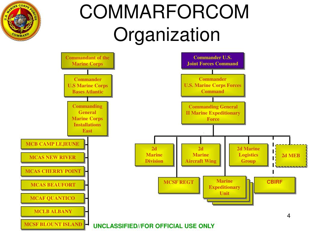 Fleet Forces Command Organization Chart