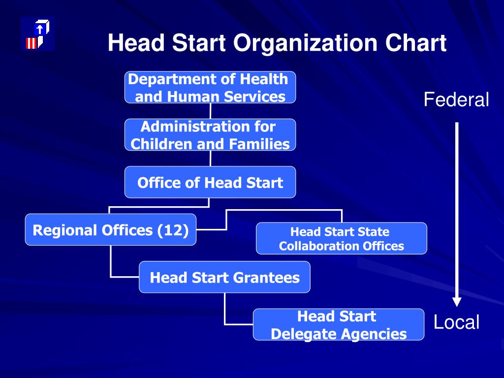 Head Start Organizational Chart