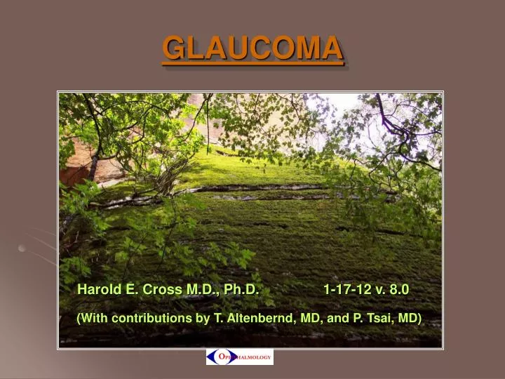 glaucoma n.