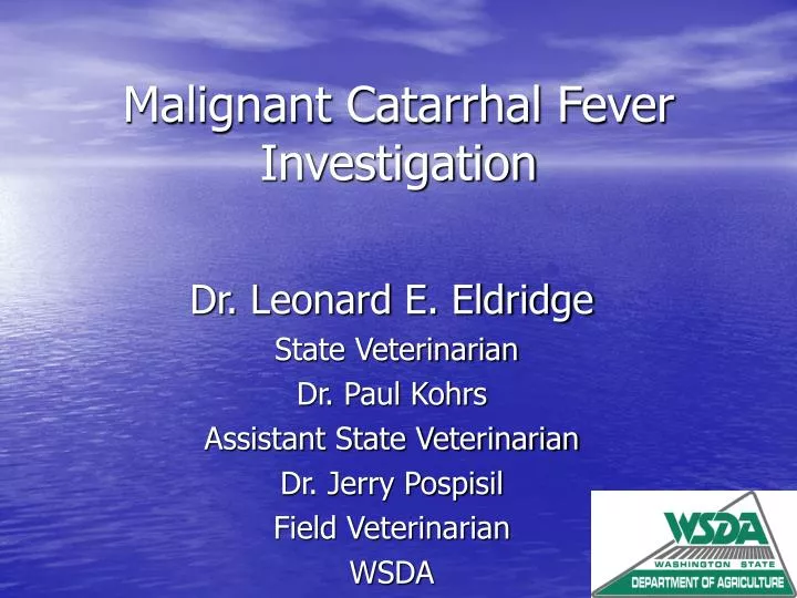 malignant catarrhal fever investigation n.