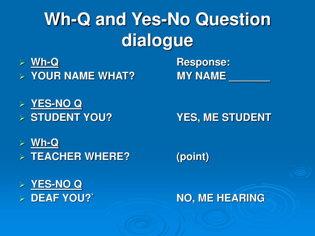 Answer the questions to the dialog. Yes or no questions. Yes no questions. Yes no questions WH questions. Yes no question structure.